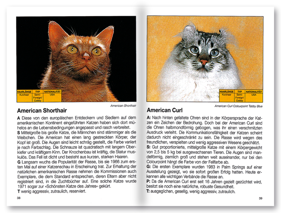 Mehr Freude mit ... Katzen