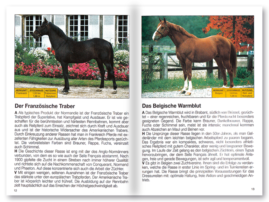 Mehr Freude mit ... Pferde