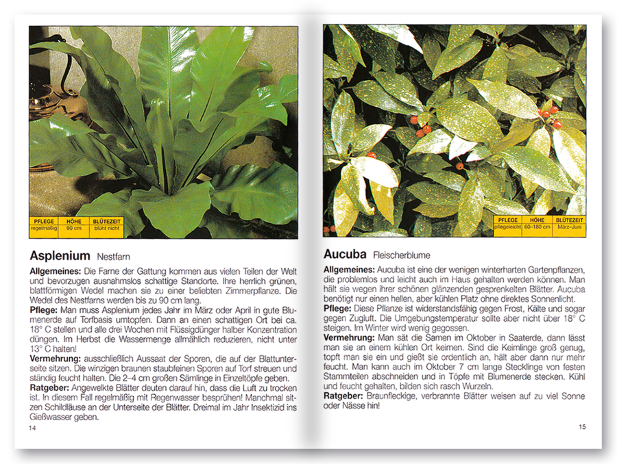 Mehr Freude mit ... Grün- und Kübelpflanzen