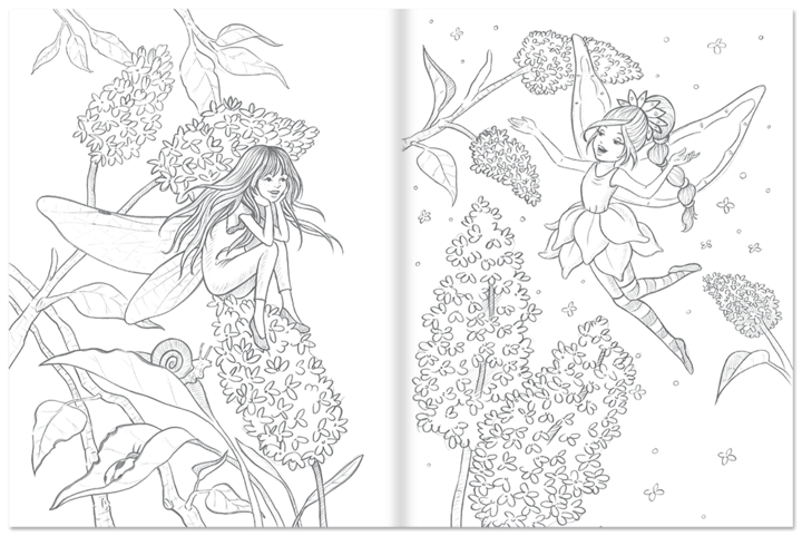 Feen-Malbuch