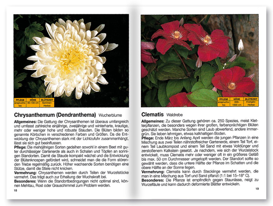 Mehr Freude mit ... Blütenpracht im Garten