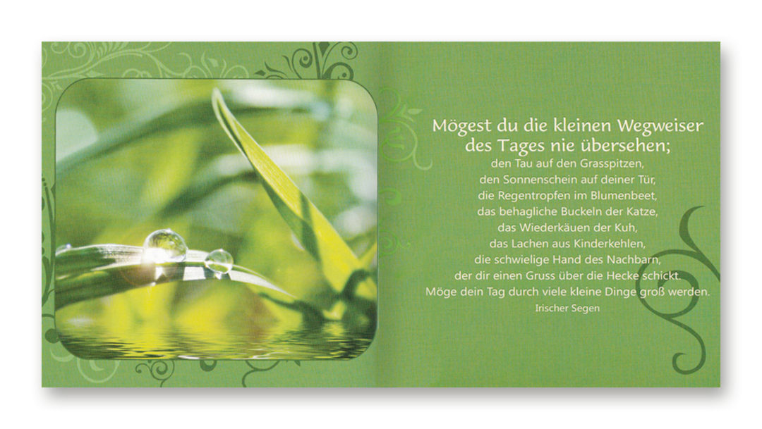 Glück – Erfüll dir deine Wünsche