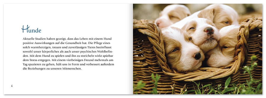 Hunde