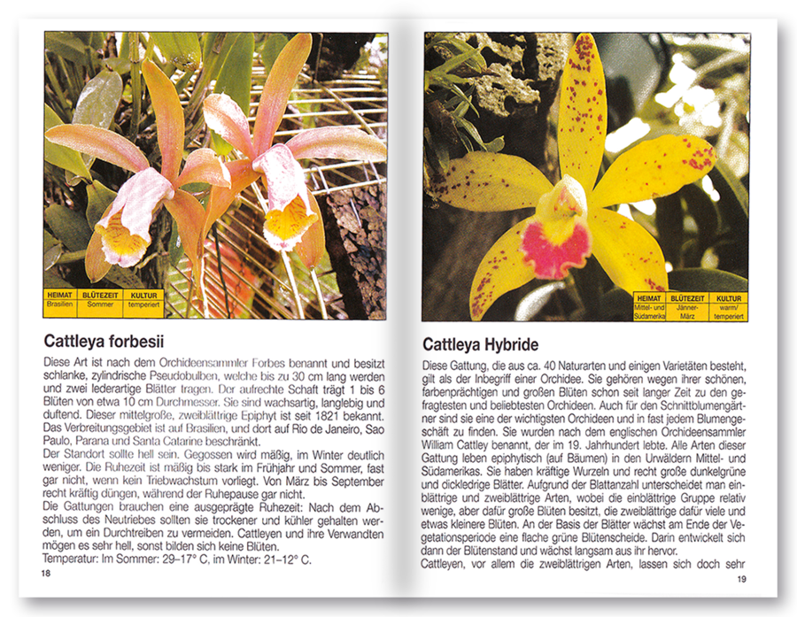 Mehr Freude mit ... Orchideen