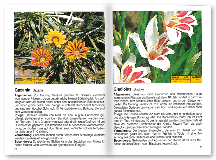 Mehr Freude mit ... Blütenpracht im Garten