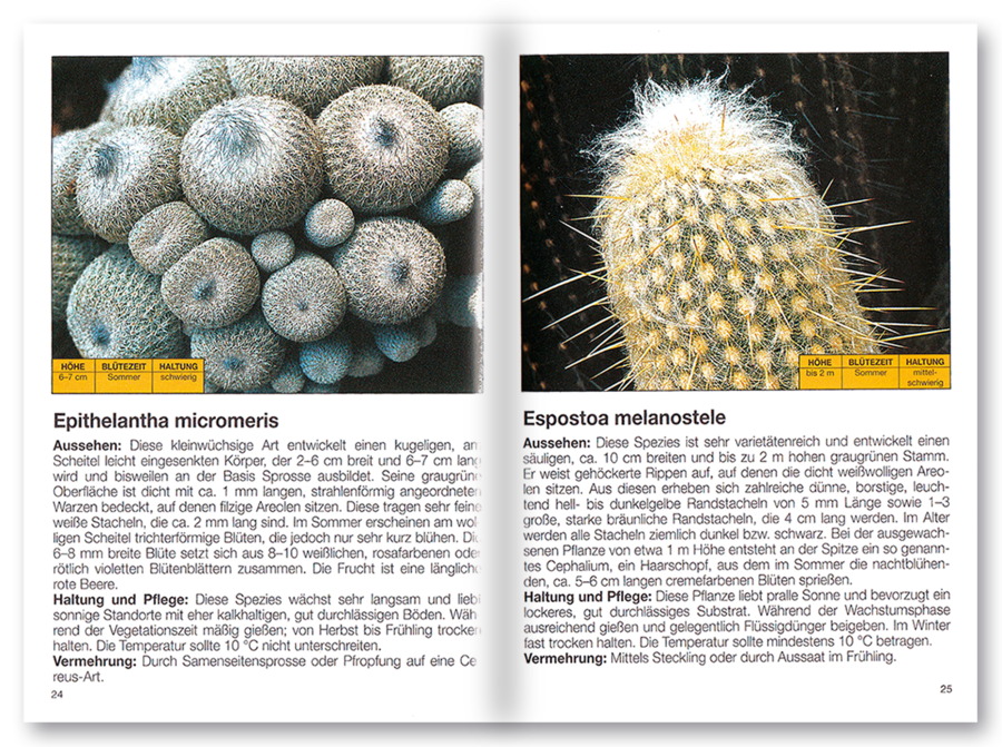 Mehr Freude mit ... Kakteen